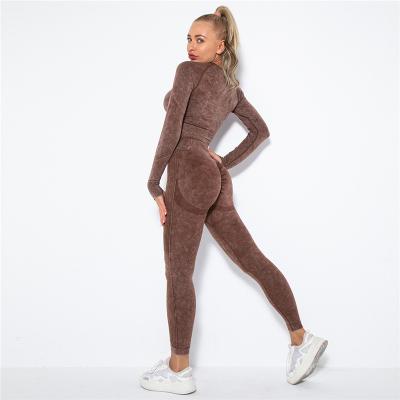 China Antibacterial Women Seamless Yoga Set Fitness Sports Suits Gym Clothing Long Sleeve High Crop Shirts Plus Size Gaiters Workout Pants for sale