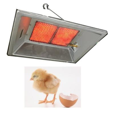 China Poultry Farm Equipment Infrared Poultry Gas Heater For Baby Chicken Heating THD2606 for sale