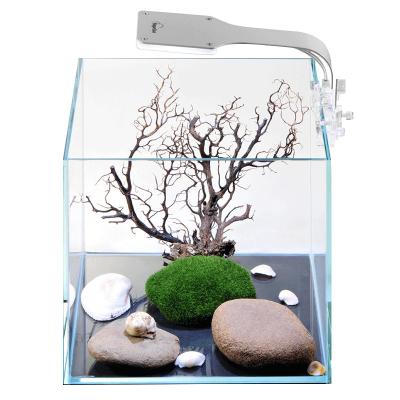 China Viable Square Aquarium Kit Small Glass Desktop Aquarium with Led Lighting Betta Tank for sale