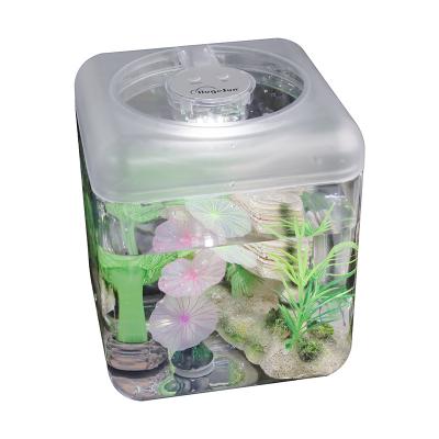 China High quality aquarium plastic acrylic tank on sale USB 5V from Ministry of Interior for sale