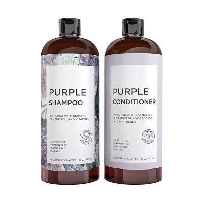 China Color-Protection Private Label Sulfate Free Purple Anti Hair Loss Shampoo And Conditioner Set For Men for sale