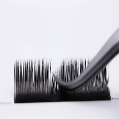 China D Ring Natural Eye Lashes Different Eyelash Extension Supplies for sale