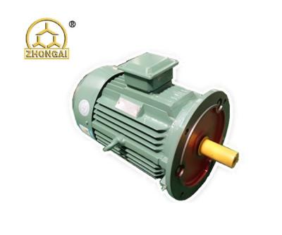 China AC Cool Squirrel Cage Fan Fully Enclosed Three Phase Electric Motor 380/660V IE2 CE Certification for sale