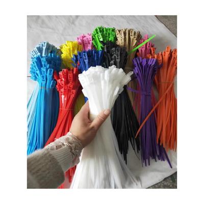 China Cheap And High Quality Production Nylon Colored Self Locking Nylon Cable Ties for sale