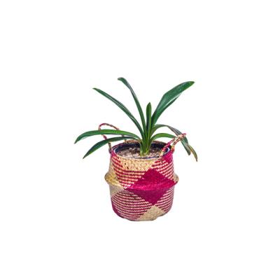 China Plant plankton plant plankton belly woven basket wicker plant pot multiple size wicker storage large size traditional mixed Jute wholesale for sale