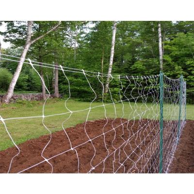 China Agricultural Mesh 4'x8' 4'x16' 4'50' durable plastic plant support trellis pliable plastic net trellis tough plant netting customized for sale