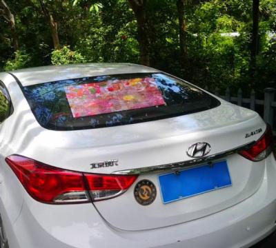 China Small Pitch P2.6 750*250 INDOOR car window picle transparent led display screen for car rear window for sale