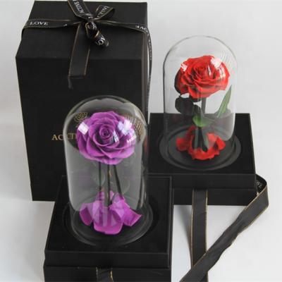 China New Product Ideas Amazon Hot Selling Preserved Gifts Fresh Flowers Stabilized Immortal Pink Eternal Roses Glass Dome For Valentines for sale