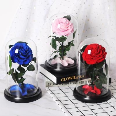 China Gifts 2022 valentines day gifts eternal preserved rose glass natural fresh eternal flowers preserved roses glass dome for decor for sale