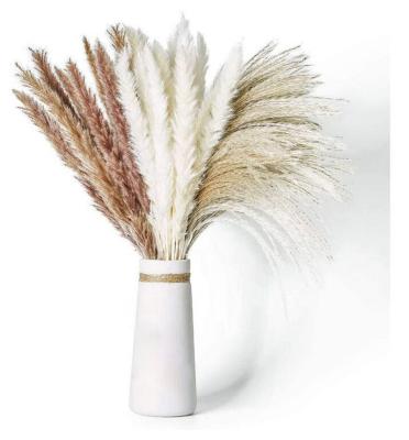 China 2021 decoration the most popular decorative flower dried natural fresh flower bouquet dried pampas grass reed for home decoration for sale