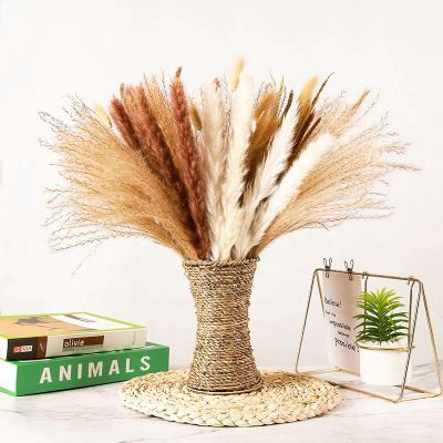 China Decoration Amazon Hit Hot Selling Dried Pampas Grass Bunch 60 Pcs Natural Pampas Grass Dried Fresh Reed For Home Decoration for sale