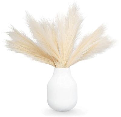 China New Amazon Flower Arrangement Decoration Artificial Ivory Pampas Grass 17 Inch Fake Pampas Grass For Wedding Decoration for sale