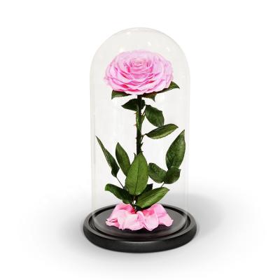 China Luxury Eternal Flower Forever Gifts Amazon Rose A Grade Red Preserved Rose In Glass Dome For Valentines Wedding Home Decoration for sale