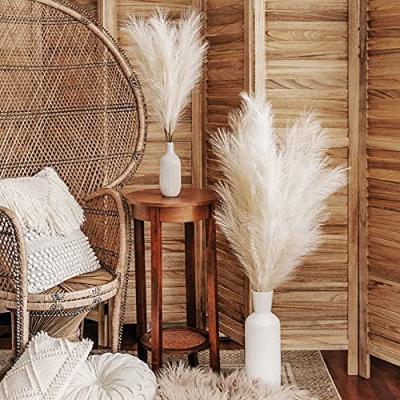 China Hot Selling Amazon Hit Artificial Flower 7 Branch Fake Pampas Grass 45cm Fake Pampas Grass For Wedding Decoration for sale