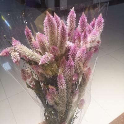 China RuiKaLi Manufacturer Factory Price Supplies Cheap Crest Wedding Decoration Natural Dry Home Flowers Flowers RuiKaLi for sale