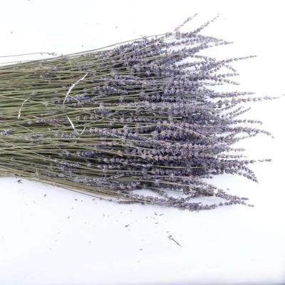 China Whosale High Quality Natural Real Flower Real Dry Lavender For Floral Bouquet for sale