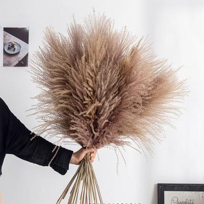 China Durable modern home decor natural plants dried reeds hossu grass for home decoration for sale