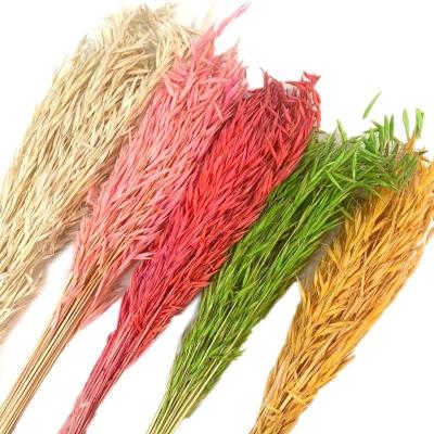 China Real Touch Whosale Natural Dry Flower Wedding Decorative Flowers Dried Weat Flowers For Home Decoration for sale