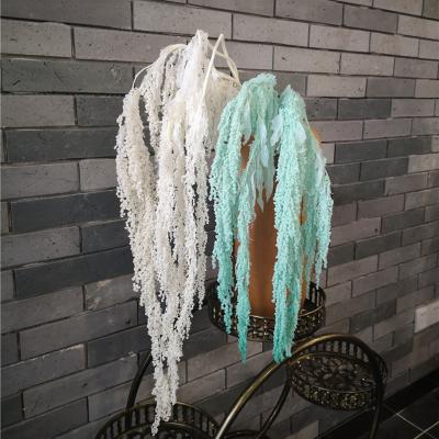 China Home Decorative Flower Amarantus Enternal Hanging Flowers For Wedding Decoration Natural Dry Plants Preserved Real Amarantus for sale