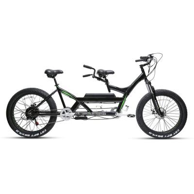 China 500watt aluminum alloy motor light weight two person fat tire 500watt electric mountain bike price for sale