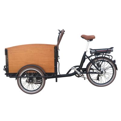 China Hot Selling Aluminum Alloy Danmark Market 3 Wheel Tricycle Pedal Assist Electric Cargo Bike For Sale for sale