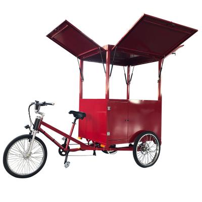 China Hot Selling Steel Pedal Assisted Stree Food Cart Style Mobile Trailer Electric Coffee Selling 3 Wheel Bike for sale