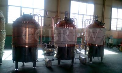 China 300L mini brewery equipment for sale for sale