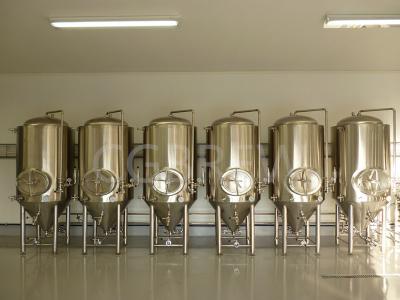 China 1000L microbrewery beer equipment for sale for sale