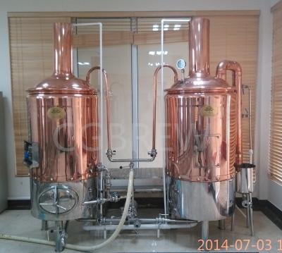 China 300L commercial beer equipment for brewpub/hotel/restaurant for sale