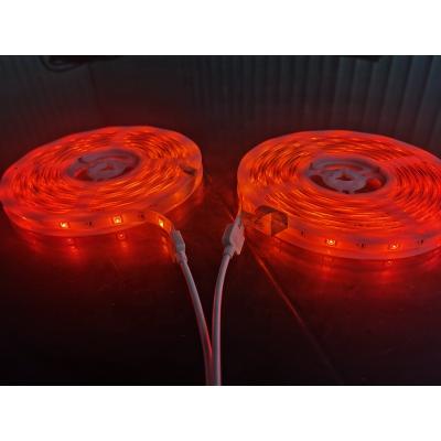 China ROAD SMD5050 300 LED flexible strip light IP44 dmx rgb led rope lighting for sale