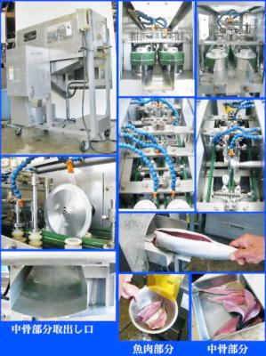 China Middle Type Fish Filleting Machine for sale