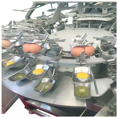 China Egg Yolk and Albumen Seperating Machine for sale