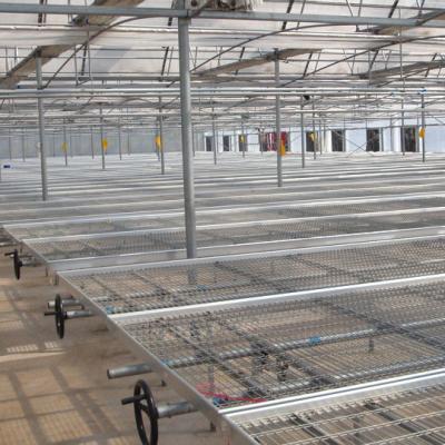 China Guided and Scientific Greenhouse Planting Ecological Cultivation of Flowers by Aluminum Alloy Seedling Rack in Greenhouse with Moving Seedling Tidal Bed for sale