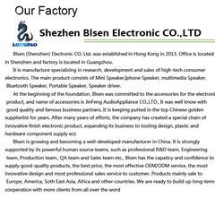 Verified China supplier - Shenzhen Jinfeng Stereos Accessories Co Ltd