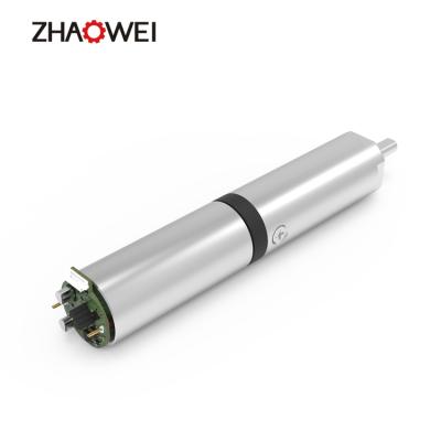 China Zhaowei ZWBMD006006-952 6mm Gear Ratio 952 8-32rpm 600-1500gf.cm Totally Enclosed Metal Gear Micro Planetary Motor for sale