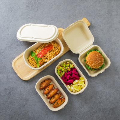 China Bagasse Pulp Disposable Container Take Out Food Boxes Biodegradable for sale