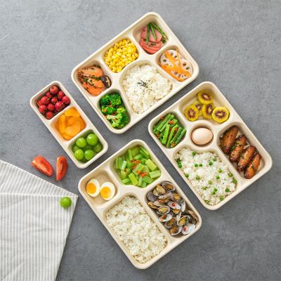 China Eco-Friendly Disposable Grease Resistant Food Container Take Out Disposable Paper Plates Bento Lunch Box for sale