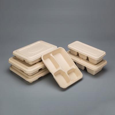 China Large Disposable Disposable Bowls Compostable Bowl With Lid Food Box Sugar Cane Pulp Product for sale