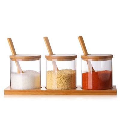 China Modern Glass Condiment Seasoning Bottles Glass Seasoning Box Set With Wooden Spoon for sale