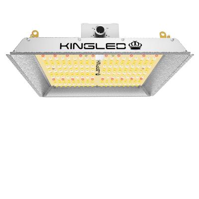 China Sunlike Series Grow Lamp With LM301B Chips Kingled 1000W Dimmable Led Grow Light 3x3ft Full Spectrum Grow Lamp For Indoor Plants Veg Flower Light Hydroponics for sale