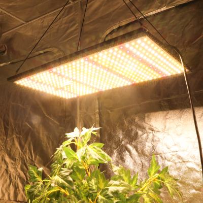 China Full Spectum Led Grow Light FAMURS Horiculture Greenhouse VEG FLOWER 120W 240W 320W 450W Dimmable Full Spectrum LED Grow Light for sale