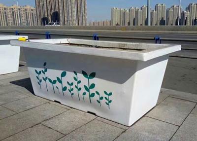 China FRP/GRP/Fiberglass Garden Flower Box for sale