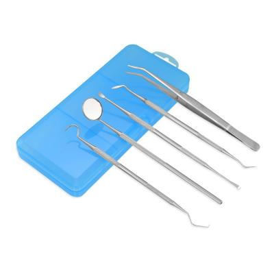 China Oral Health Cleaning Tool Kit Professional Oral Dental Instrument Stainless Steel Kit 5pcs Dental Hygiene Set for sale