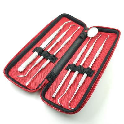 China China Premium Stainless Steel Oral Care Kit 6pcs Stainless Steel Tools Dental Instrument for sale