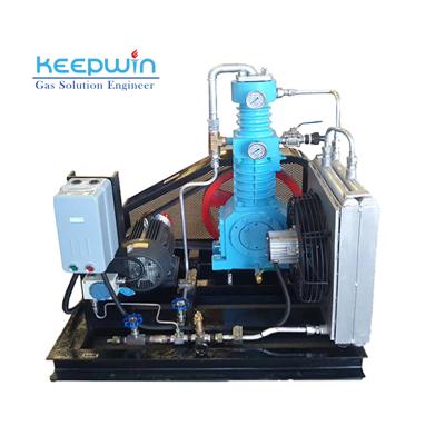 China Two Year Warranty Oil Free Online Medical Hospital Support Oxygen Gas Compressor China Manufacture for sale