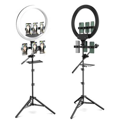 China ABS+Stainless Steel Led Light Portable USB RGB Light Phone Holder 18 Inch Foldable Table LED Ring Light With Tripod Stand for sale