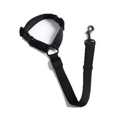 China Viable Hot Sale Simple Design Pet Leash Car Safety Fasten Belt Cat Dog Pet Lead for sale