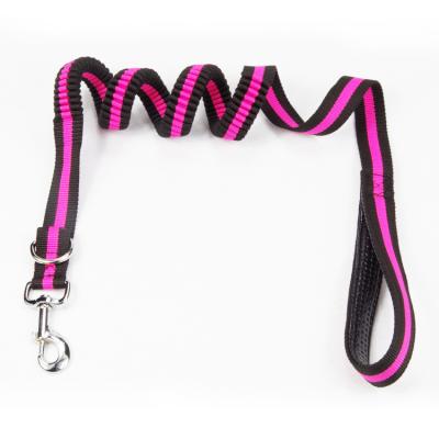 China Hot Selling Lead Dog Viable Expandable Traction Bungee Small Medium Pet Leash for sale