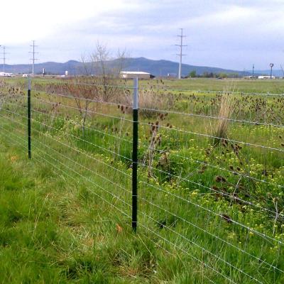 China Easily Assembled Hinged Joint Galvanized Wire Mesh Netting Deer Fencing Mesh Roll Fixed Knot Cattle Sheep Field Farm Rural Fence for sale