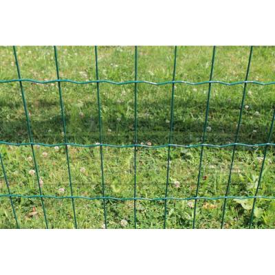 China Easily Assembled PVC Euro Fence Holland Plastic Coated Welded Fencing Mesh Garden Border Soft Rolls Netting for sale